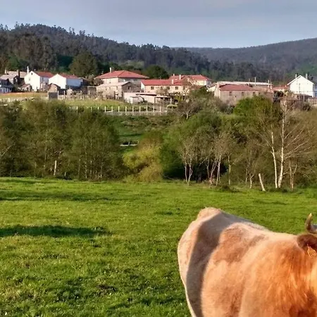 Hébergement de vacances Casa Da Labaceira Santo Tomé