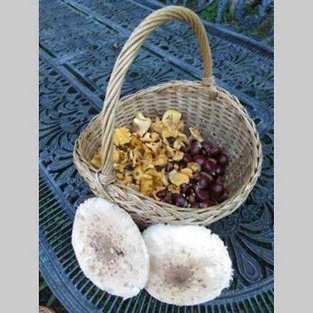 Hébergement de vacances Casa Da Labaceira Santo Tomé