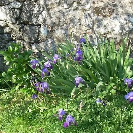 Casa Da Labaceira Σπίτι διακοπών *