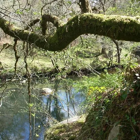 Hébergement de vacances Casa Da Labaceira Santo Tomé