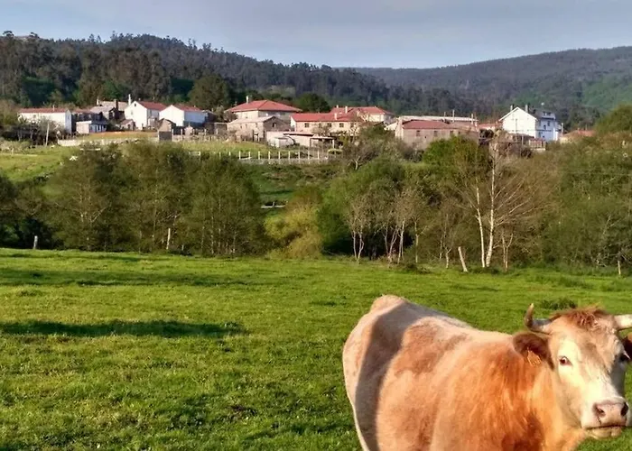 Дом отдыха Casa Da Labaceira Киреса